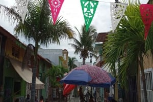 Veracruz: Un viaje de Color, Sabor y Herencia