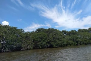 Veracruz: Un viaje de Color, Sabor y Herencia