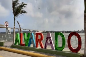 Veracruz: Un viaje de Color, Sabor y Herencia