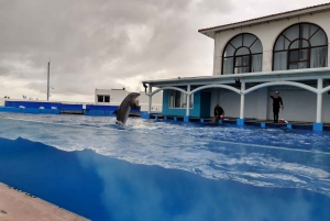 Veracruz: Guided City Tour with Aquarium Visit