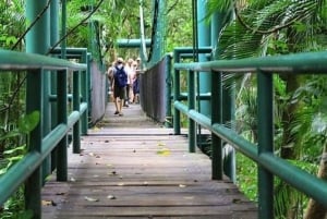 Villahermosa: Museo de la Venta y Visita a la Reserva Ecológica Yumka