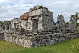 Tour Guiado Experiencia VIP Ruinas de Tulum, 3 Cenotes Privados.