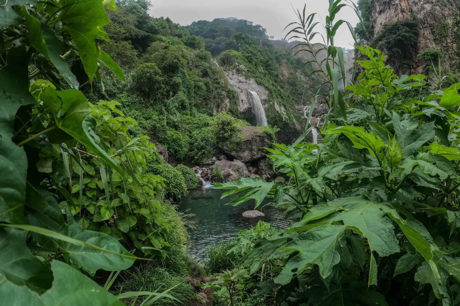 Visit lush springs and waterfalls near Guadalajara