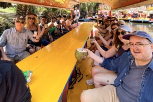 Explora Teotihuacán, Guadalupe, Xochimilco, Coyoacán y más en 2 días.