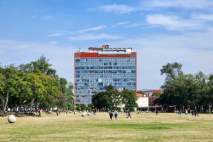 Paseo por el campus de la UNAM, Patrimonio de la Humanidad de la UNESCO