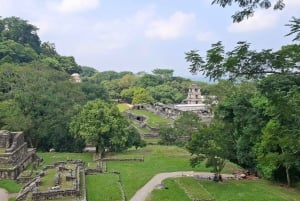 Walking tour in the archaeological site and jungle of Palenque