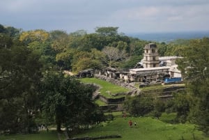 Walking tour in the archaeological site and jungle of Palenque