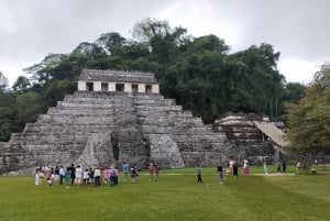 Walking tour in the archaeological site and jungle of Palenque