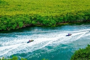 Waverunner Mangrove Tour guiado Jetpack Adventures