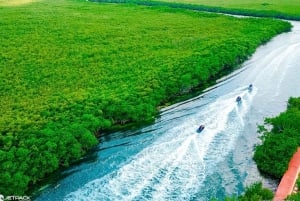 Waverunner Mangrove Tour guiado Jetpack Adventures