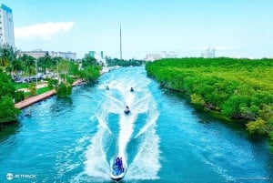 Waverunner Mangrove Tour guiado Jetpack Adventures