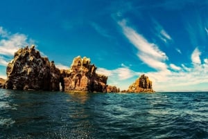 Snorkel con tiburones ballena y leones marinos e Isla Espíritu Santo