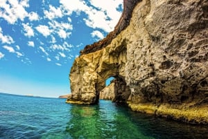 Snorkel con tiburones ballena y leones marinos e Isla Espíritu Santo