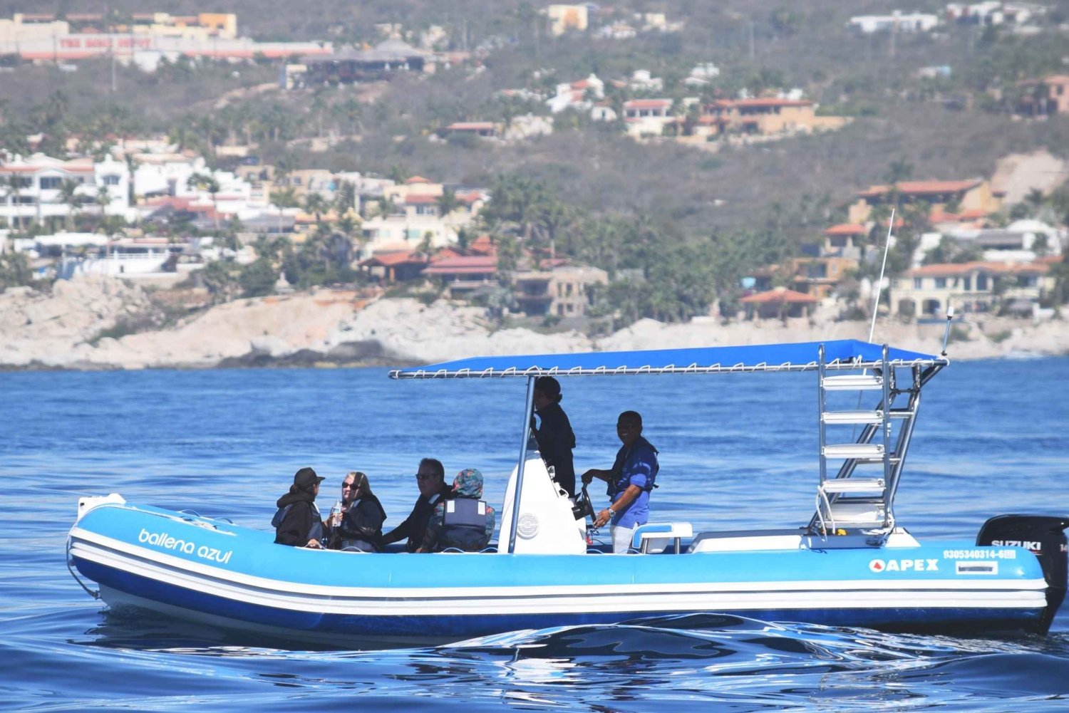 Avistamiento de Ballenas Cabo: Aventura Zodiac con Ballenas - Fotos GRATIS