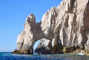 Avistamiento de Ballenas Cabo: Aventura Zodiac con Ballenas - Fotos GRATIS