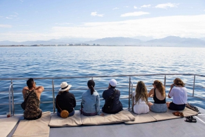 From Puerto Vallarta/Nuevo Vallarta: Whale Watching Cruise