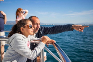 From Puerto Vallarta/Nuevo Vallarta: Whale Watching Cruise