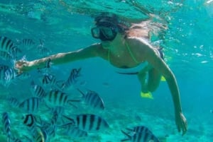 Tour Avistamiento Ballenas, Arco de Cabo San Lucas y Playa del Amor