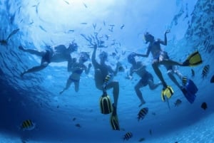 Tour Avistamiento Ballenas, Arco de Cabo San Lucas y Playa del Amor