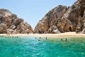 Arco de Cabo San Lucas, Avistamiento de Ballenas Coloradas y Playa del Amor