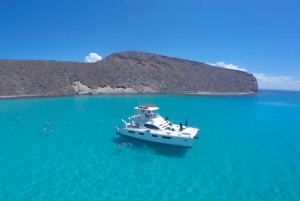 From Los Cabos: La Paz Snorkel and Sea Lion Adventure