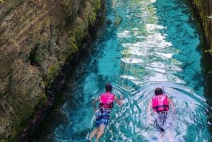 Xcaret Plus, Meal, Show and Transfer Included from Playa del Carmen