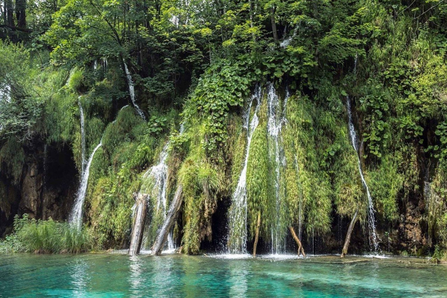 Xilitla: Turquoise Route to El Salto and El Meco Waterfalls