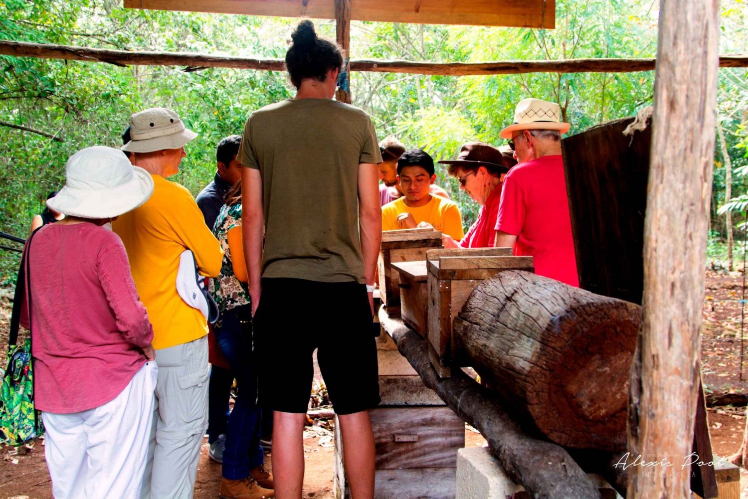Xkopek, Mayan Bees Tour and Honey Tasting in Valladolid