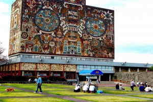 Xochimilco 5–Hour Boat Ride and University Tour