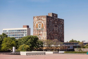 Xochimilco 5–Hour Boat Ride and University Tour