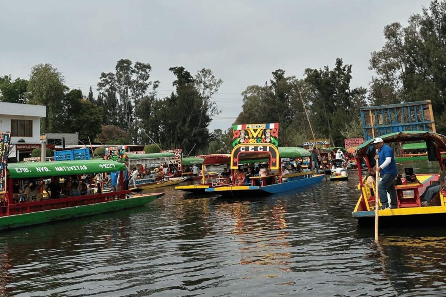Xochimilco y Garibaldi: Tradición y Música