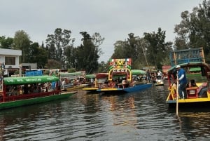 Xochimilco y Garibaldi: Tradición y Música