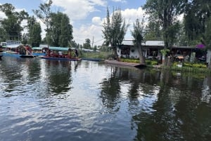 Xochimilco: Boat Tour with Ambystoma Mexicanum Sanctuary