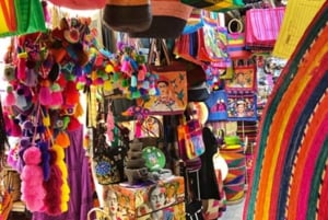 Xochimilco Canals and the Treasures of Coyoacán Tour