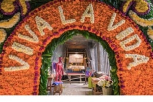 Xochimilco Canals and the Treasures of Coyoacán Tour