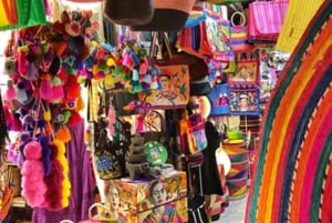 Recorrido por los Canales de Xochimilco y los Tesoros de Coyoacán