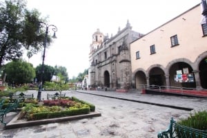 Xochimilco & Colonial Coyoacan Trip