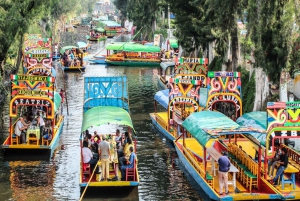 Xochimilco + Coyoacan + Best Pastor Tacos in Mexico City