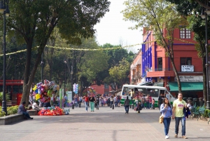 Xochimilco + Coyoacan + Best Pastor Tacos in Mexico City