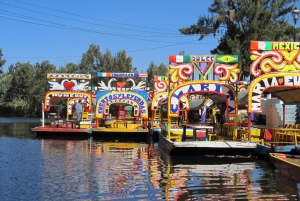 Xochimilco + Coyoacan + Best Pastor Tacos in Mexico City
