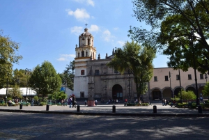 Xochimilco + Coyoacan + Best Pastor Tacos in Mexico City