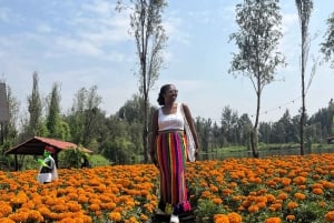 Ciudad de México: Tour Día de muertos Xochimilco