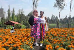 Ciudad de México: Tour Día de muertos Xochimilco