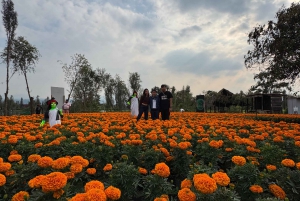 Ciudad de México: Tour Día de muertos Xochimilco