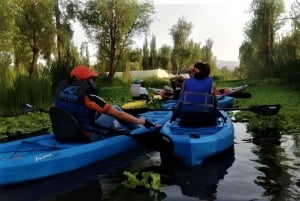 Xochimilco Day Trip: Farmland Food and Hop on a Trajinera