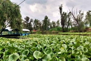 Xochimilco Day Trip: Farmland Food and Hop on a Trajinera