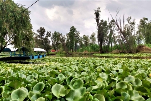 Xochimilco Day Trip: Farmland Food and Hop on a Trajinera
