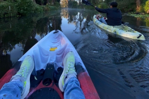 Xochimilco Kayak Tour