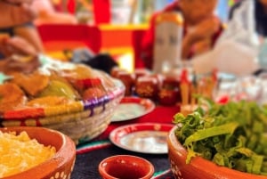 Xochimilco: Fiesta in Trajinera and Coyoacan Tour