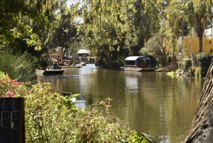 Fiesta Mexicana Xochimilco con bebidas y aperitivos ilimitados.